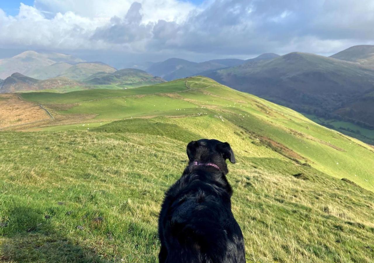 Farmhouse & Cottage At Geufron Farm - Dog Friendly Bryn-crug Bagian luar foto